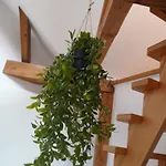 Apartment 1 Mehrbettzimmer Mit Ausstattung *